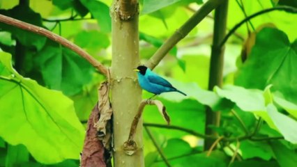 Perfect for viewers who adore heartwarming and cut