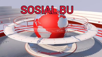 SEPASANG BERUANG MASUK KEBUN WARGA DI PASAMAN