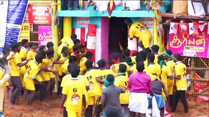 Hn_Ani2_Madurai_Jallikattu_On_The_Ocassion_08-33-57