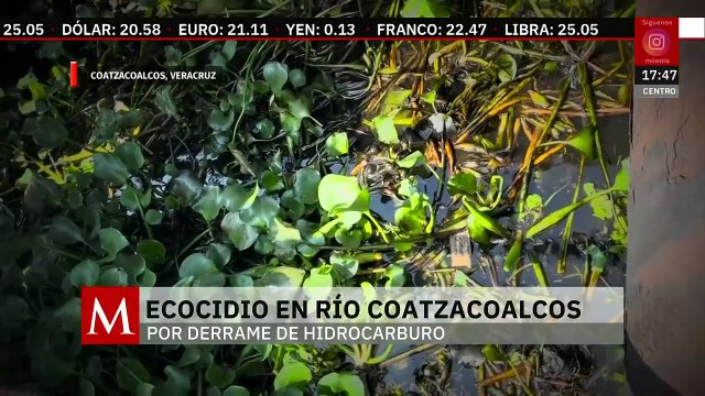 En Veracruz, habitantes denuncian ecocidio en el Río Coatzacoalcos | Milenio Hábitat