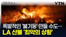 폭발적인 '불기둥' 만들 수도... 돌풍에 날라가는 불씨들 '최악의 상황' [지금이뉴스] / YTN