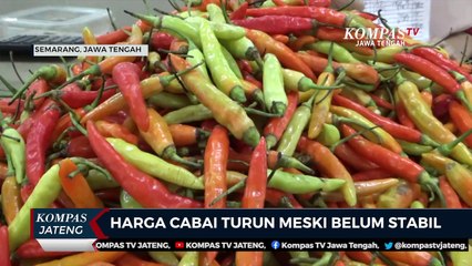 Harga Cabai dI Semarang Turun, Meski Belum Stabil