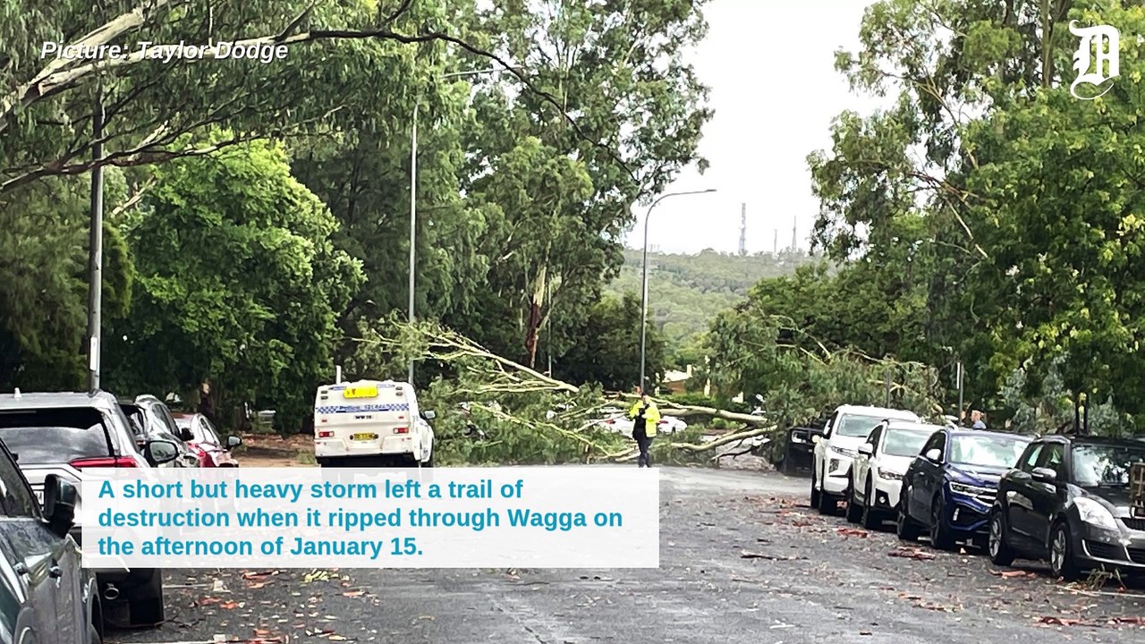Storm leaves trail of damage across Wagga | January 15, 2025 | The Daily Advertiser