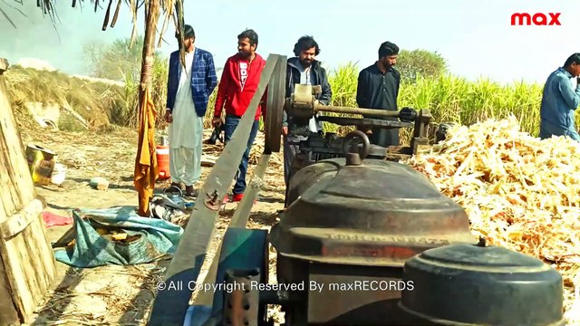 Traditional Jaggery (Gurr) Making Process From Sugar Cane 🍯 | Village Life Sindh Pakistan | Larkana Sindh Pakistan max RECORDS Follow Now