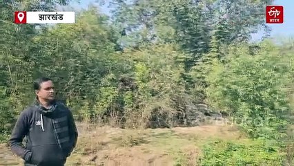 घनघोर जंगल में छुपा है सुंदर नजारा, अंग्रेजों को भी इस क्षेत्र ने किया है आकर्षित