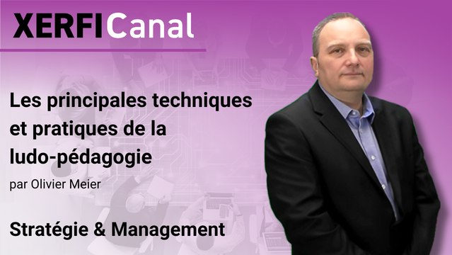 Les principales techniques et pratiques de la ludo-pédagogie [Olivier Meier]