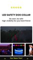 LED Safety Dog Collar