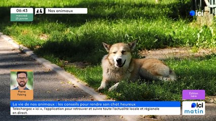 15/01/2025 - ici matin par ici Isère en vidéo