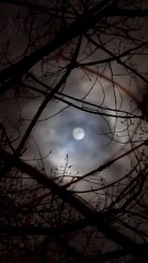 Fighting Sleep Paralysis And the Mysterious Noises