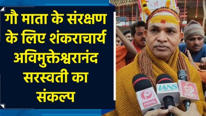 गौ  माता की प्रतिष्ठा स्थापित करने के लिए Mahakumbh में महायज्ञ