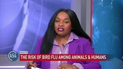 H5N1 Bird Flu Wreaks Havoc in the U.S. | 20 Million Chickens Affected
