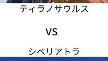 ティラノサウルス vs シベリアトラ