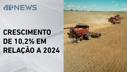 IBGE estima produção recorde para safra de grãos 2025