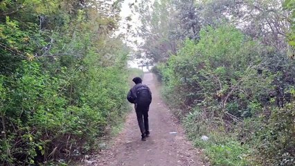 पाणवठ्यांवर परदेशी पक्षांचे थवे ; जगाच्या विविध भागातून उडत येतात  पाहुणे