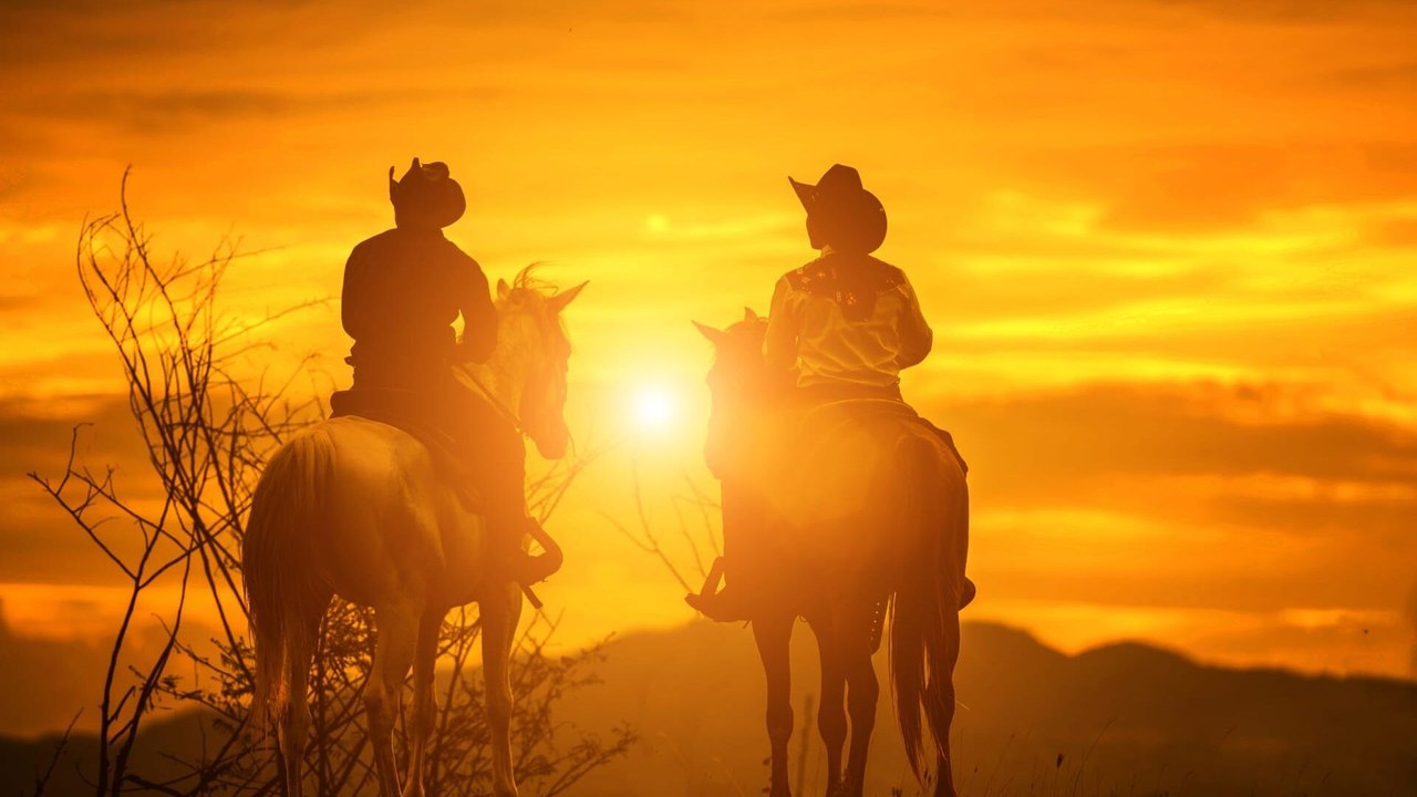 Il était une fois dans l'Ouest
