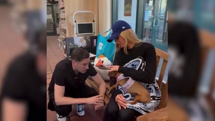 Paris Hilton steps in to foster dog after Los Angeles wildfires force owners to give her up