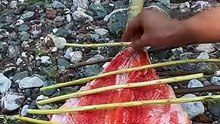 Savory Salmon Cooked by the Riverside! A Taste of Nature 🐟🔥