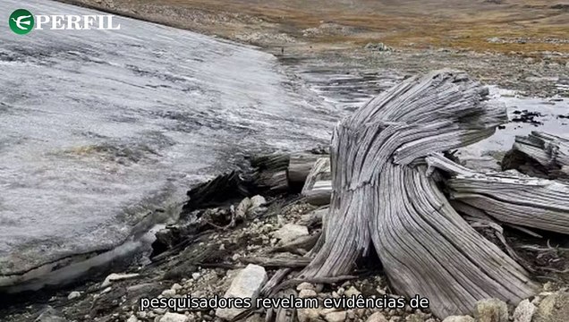 Descobertas surpreendentes: Geleiras revelam floresta antiga nos EUA, Cuba liberta presos e local bíblico é encontrado na Jordânia.