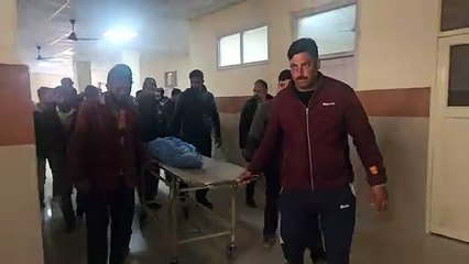 Dog bite six year old girl dead