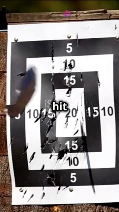 Boss Battles and More in APS Knife Show!