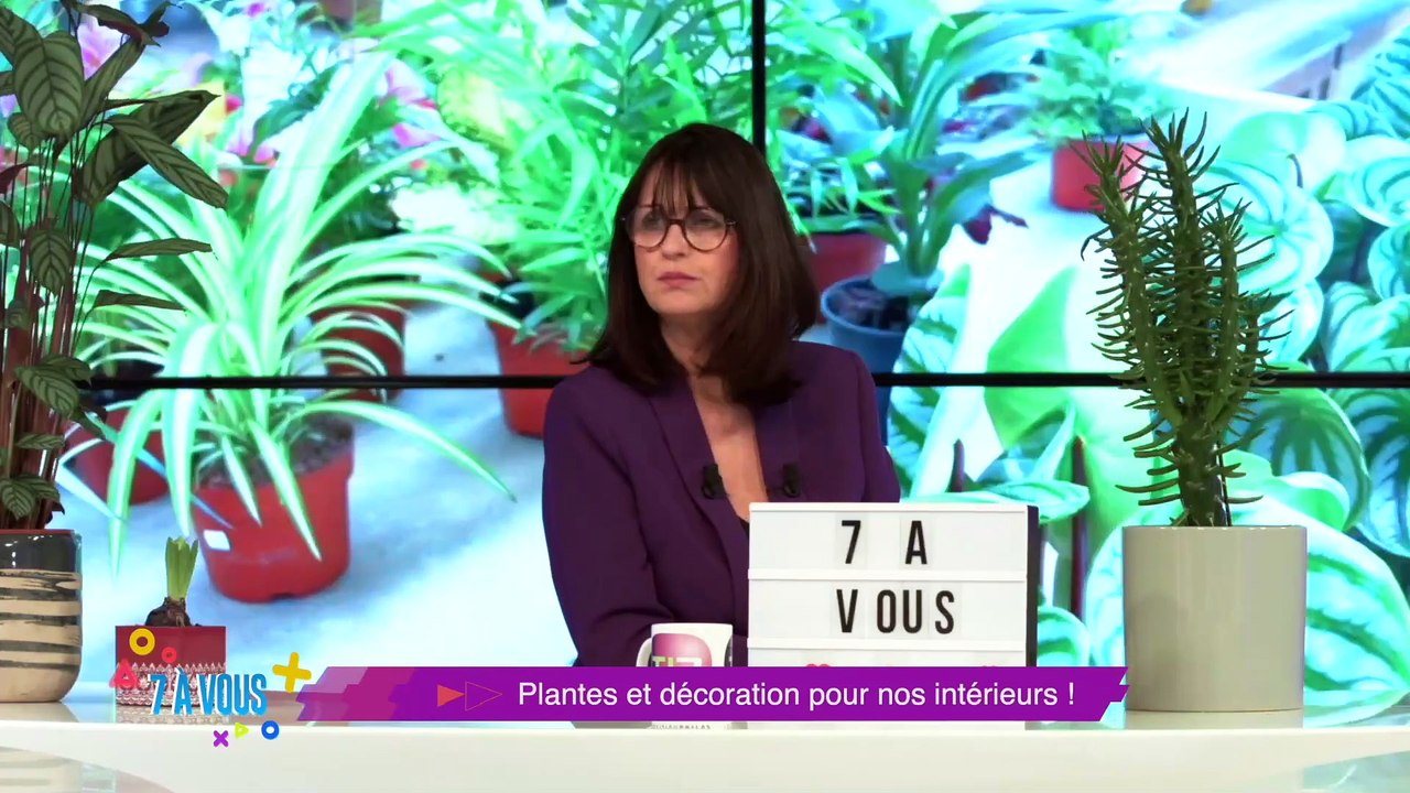 Retrouvez "7 à vous" avec Catherine Garnier et ses chroniqueurs pour les bons plans "sorties" ligériens et des sujets qui parlent de vous pour encore plus vous informer et vous divertir !