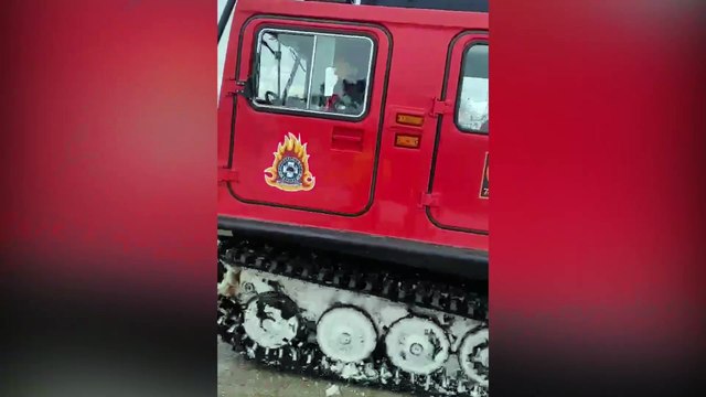 Επιχείρηση διάσωσης ζώων από τον χιονιά στον δήμο Λαμιέων