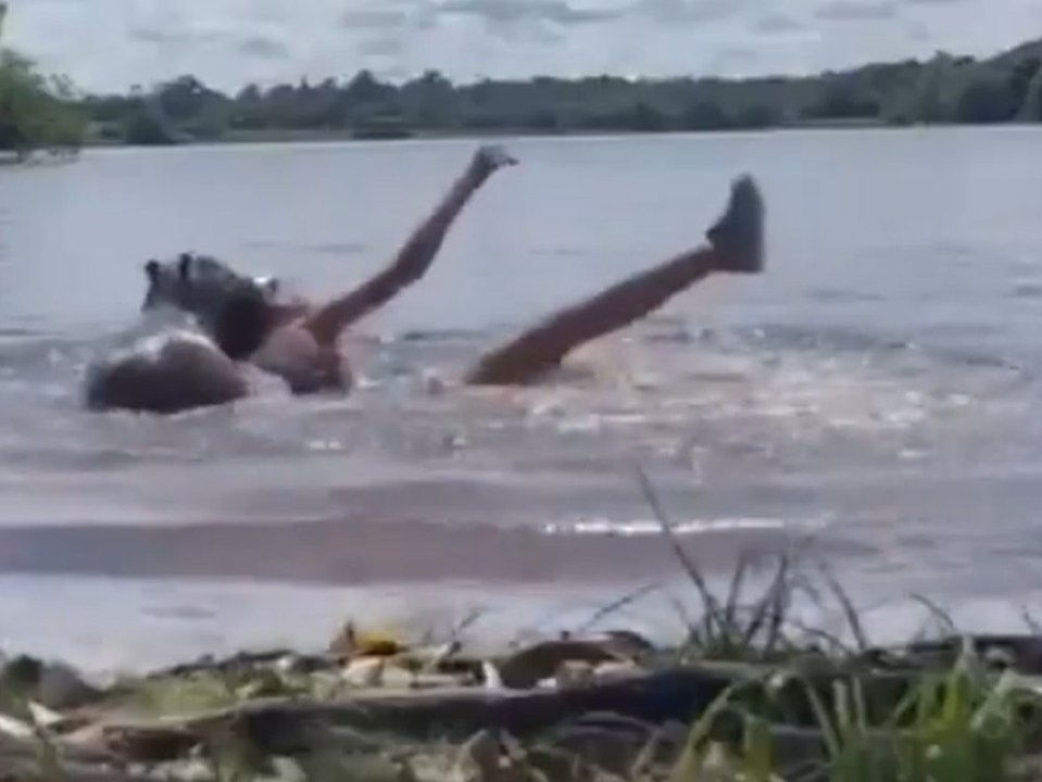 Capybara attackiert mädchen in badesee