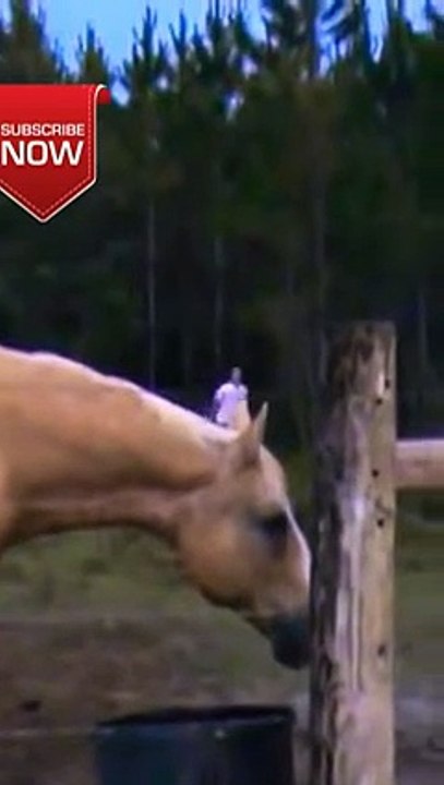 Yee kis say bach kar bhag raha h😱😱😱😱😱😱😱😱#shorts