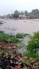 Com recorde histórico em Pacujá, Ceará registra chuvas em todas as macrorregiões