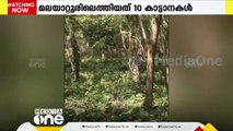 മലയാറ്റൂർ ഇല്ലിത്തോട്ടിലെ ജനവാസ മേഖലയിൽ കാട്ടാനക്കൂട്ടം ഇറങ്ങി