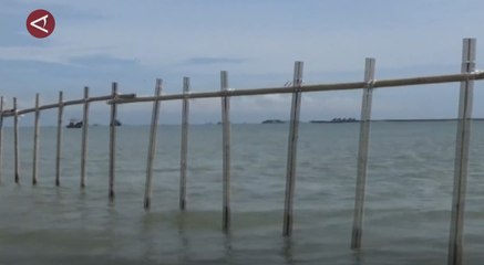 KKP tegaskan tidak berikan izin pemanfaatan ruang laut di Tangerang