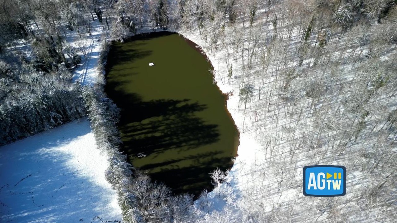 Puglia, il paesaggio da fiaba della neve sulla Foresta Umbra: le immagini spettacolari dal drone