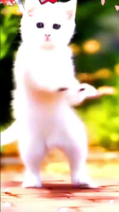 dancing baby with fun #shorts