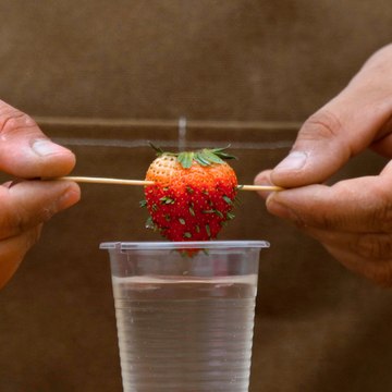 We're rooting for these clever strawberry growing hacks! Gardening Tips For Plant Lovers 🍓