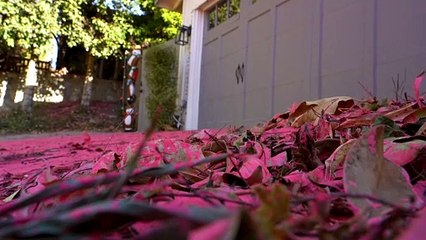 O que é a cor rosa que cobre Los Angeles devastada pelo fogo?