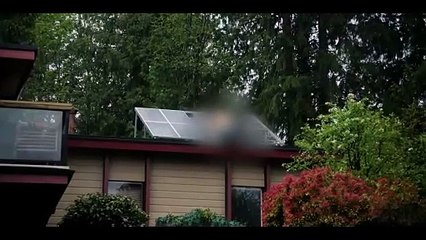 Only 100 People Left on Earth After a Virus Wipes Out 99% of Humanity