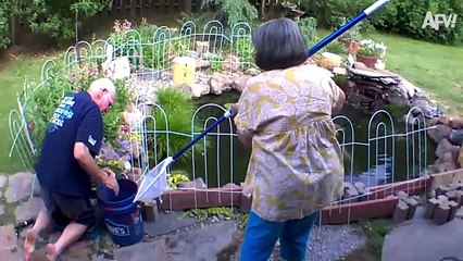 2024 Year in Review 😄 Best Funny Videos of the Year