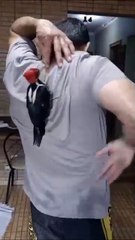 Cache cache où es-tu ?