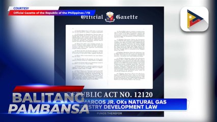 PBBM OKs natural gas industry development law