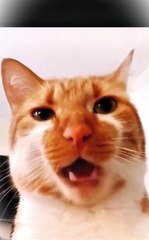 copy_DA21C1AA-2428-4649-8943-D46C534EAA23