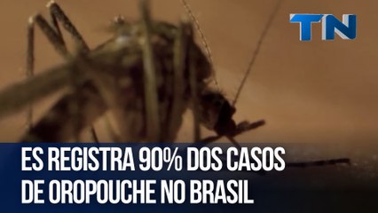 ES registra 90% dos casos de Oropouche no Brasil