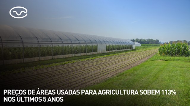 Preços de áreas usadas para agricultura sobem 113% nos últimos 5 anos