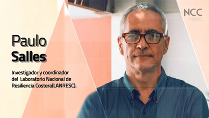 Reporte Climático 180 | Resiliencia costera, una esperanza para las tortugas marinas