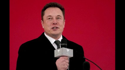 The evolution of Musk's relationship with Trump as Inauguration nears