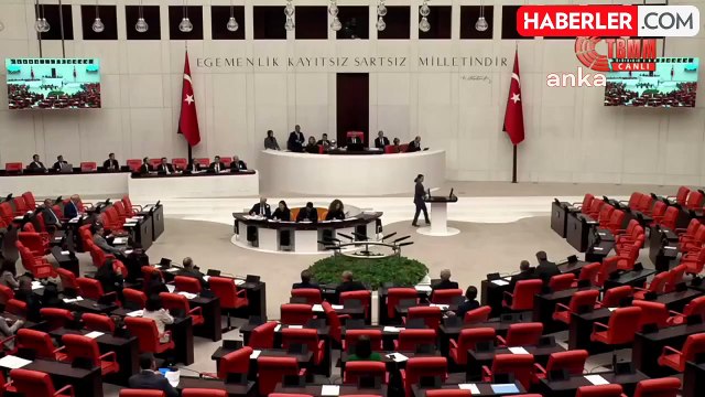 CHP'li Gökçe Gökçen: Aym'nin İptal Ettiği Düzenlemeler, Yürütme Tarafından Meclis'e Dayatılıyor