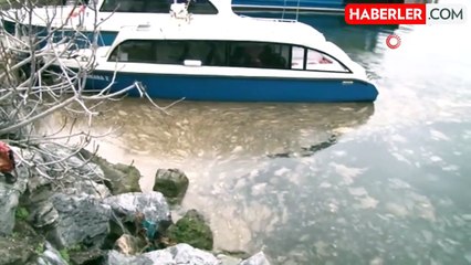 Kadıköy'de deniz yüzeyinde ürküten görüntü