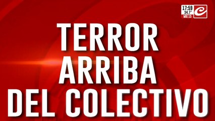 Terror arriba del colectivo: nuevos videos del asesinato