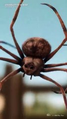 Chill Guy's Top Netflix Films of 2025 🎬 - thumbnail