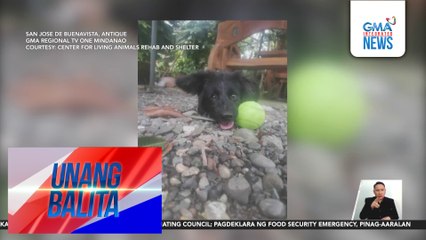 Asong natagpuang patay, tila tinaga at sinabuyan ng mainit na tubig | Unang Balita