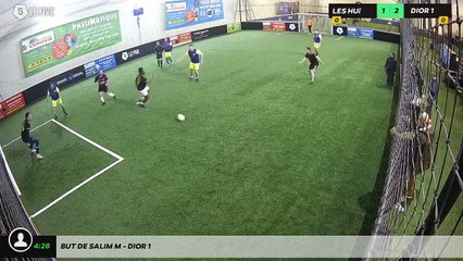 But de Salim M - Dior 1